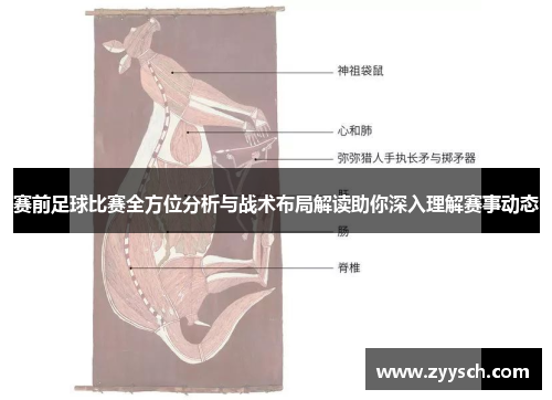 赛前足球比赛全方位分析与战术布局解读助你深入理解赛事动态